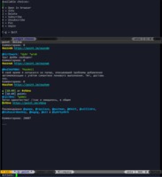 Emacs point-im.el
